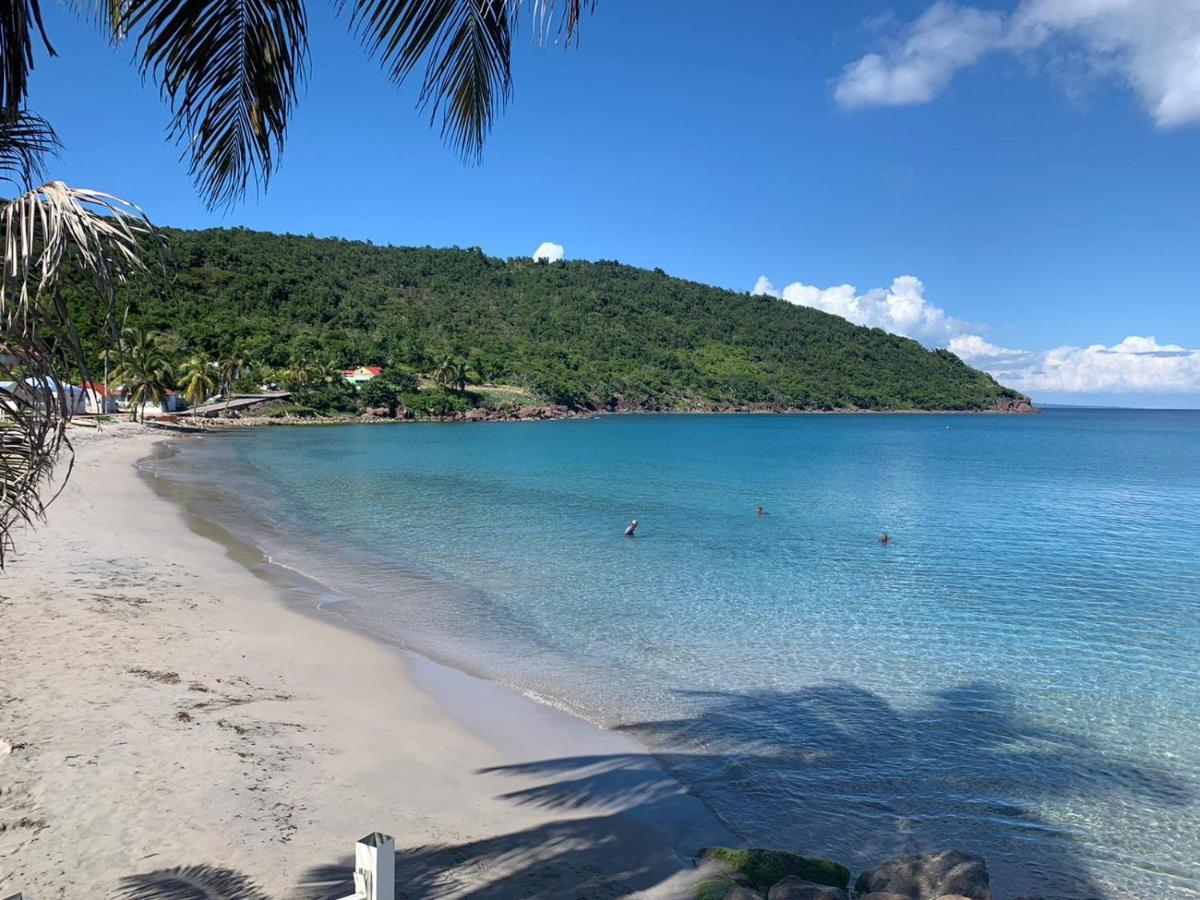 Ti Kaz Anoli Cottage En Bois Avec Vue Sur La Baie Terre-de-Bas Exteriér fotografie